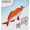 거래노노