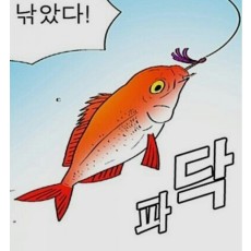 거래노노